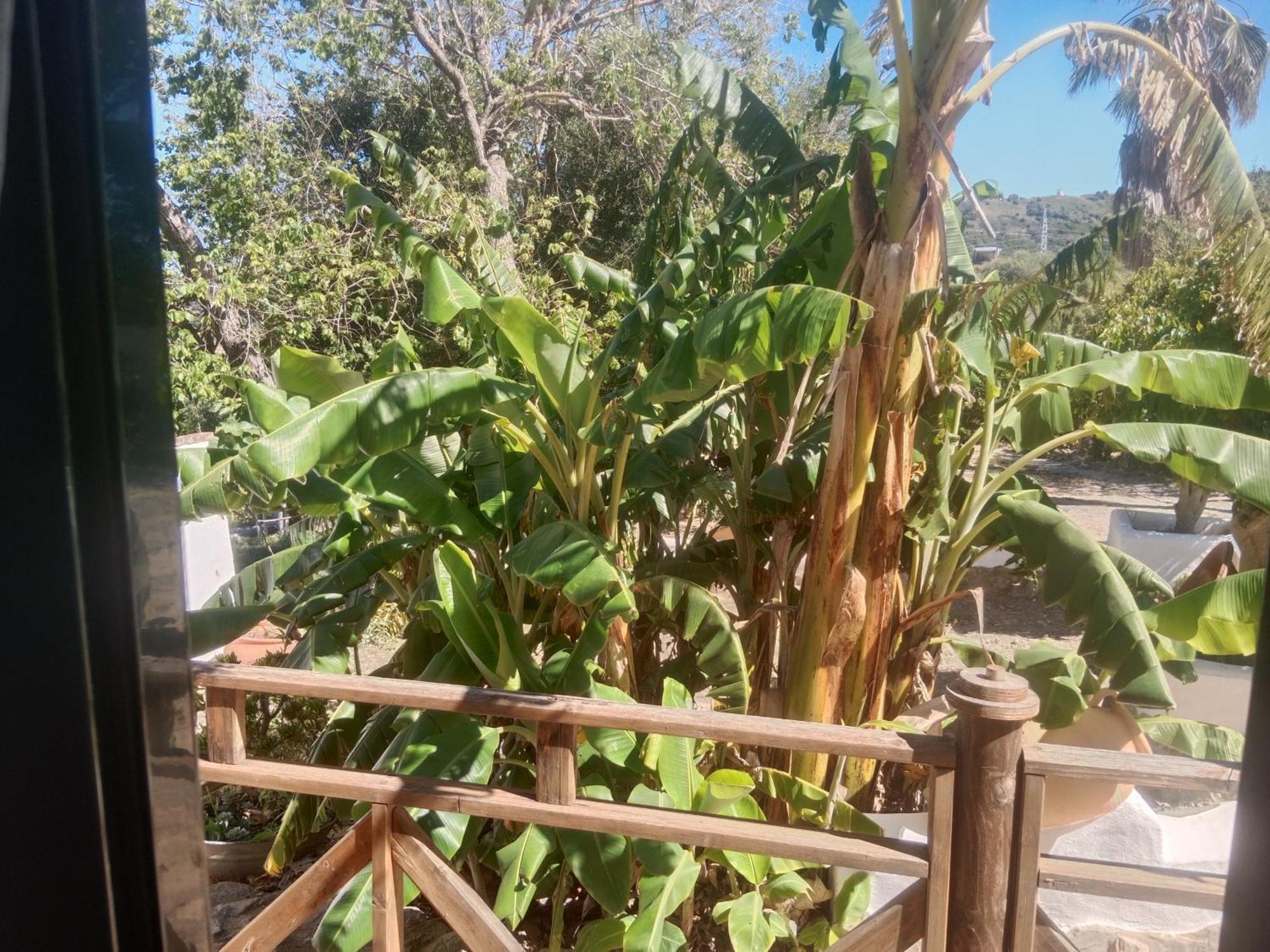 El Cubillo Casa de camp *